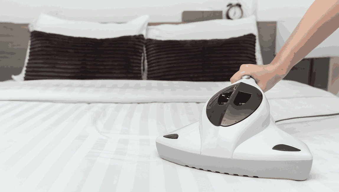 Professional Mattress Cleaning Bulla